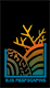 HJR Reefscaping