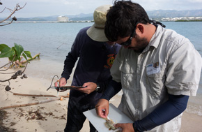 Biological Monitoring