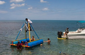 Isla de Ratones
