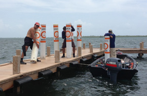 Manatee Buoy
