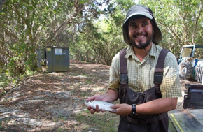Tarpon Population