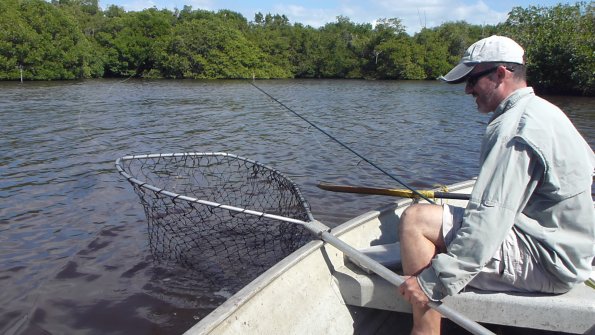 fishing tarpon