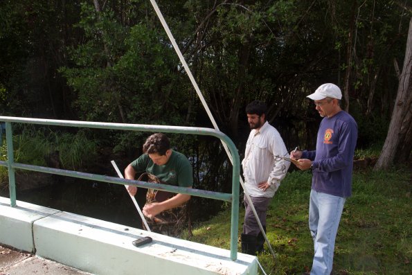 installing antennae