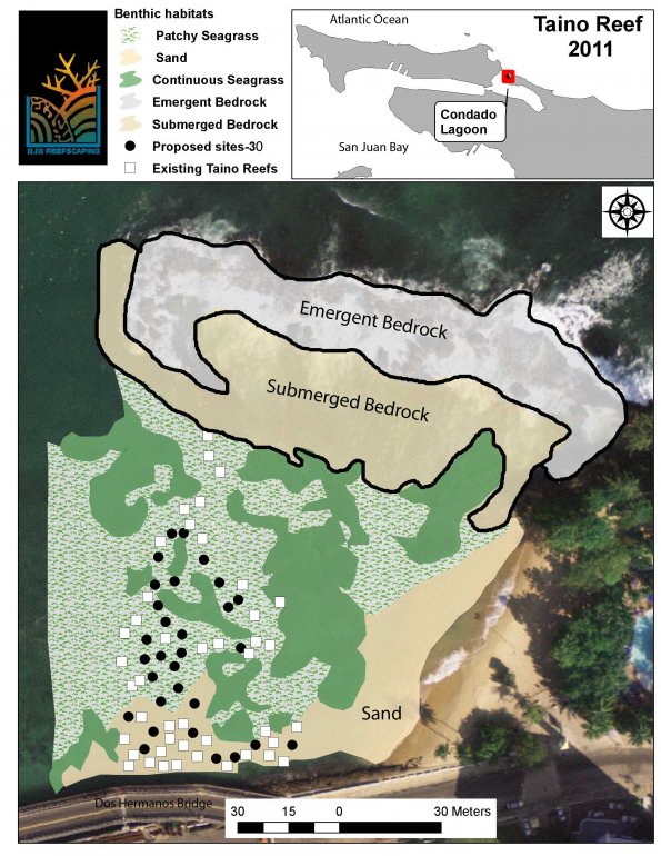 Taino Reefs trail map