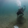 cleaning taino reef