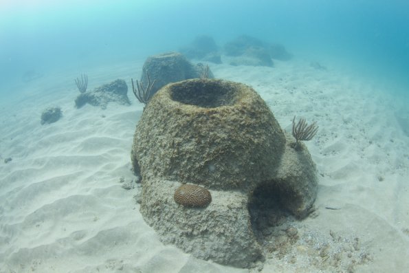 taino reef trail