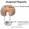 Guajonal pequeno