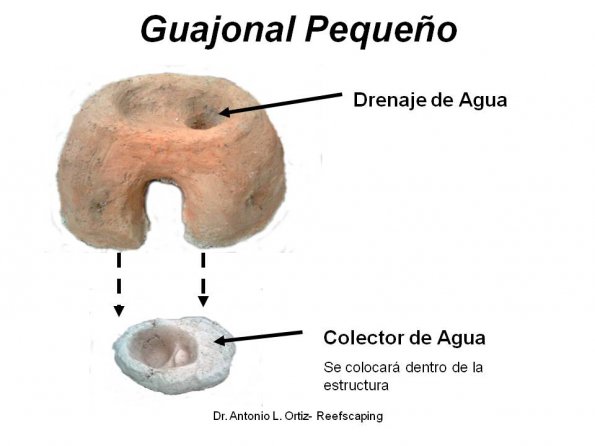 Guajonal pequeno