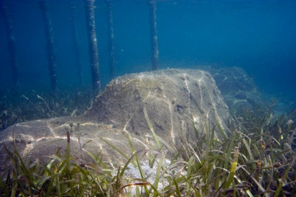 taino reef next to mangrove and sea grass