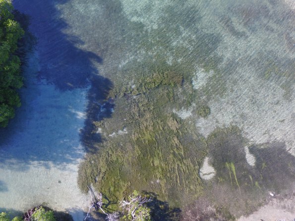 Aerial photo of Manglillo, Guanica