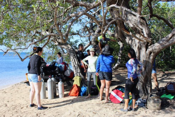 University of Puerto Rico students at Manglillo, Guanica