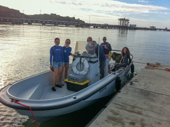 University of Puerto Rico undergraduated students ready to monitor seagrasses
