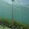 Manatee Buoy Installment