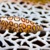 Flamingo tongue